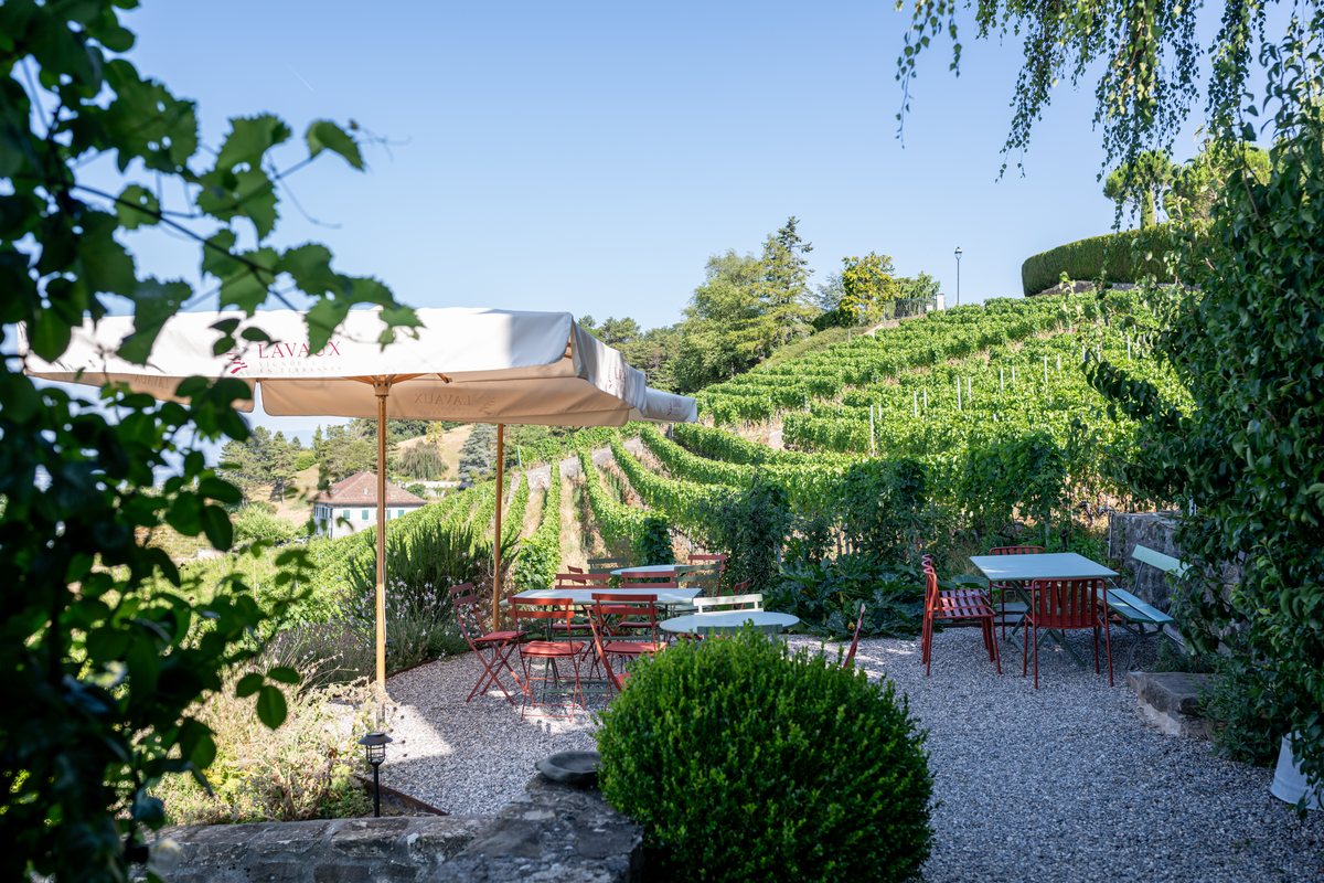 Le jardin du domaine, ses tables et parasols au-dessus des vignes en terrasses