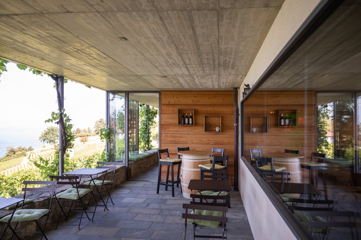 La terrasse couverte, ses tables et ses tonneaux, ouverte sur les vignes