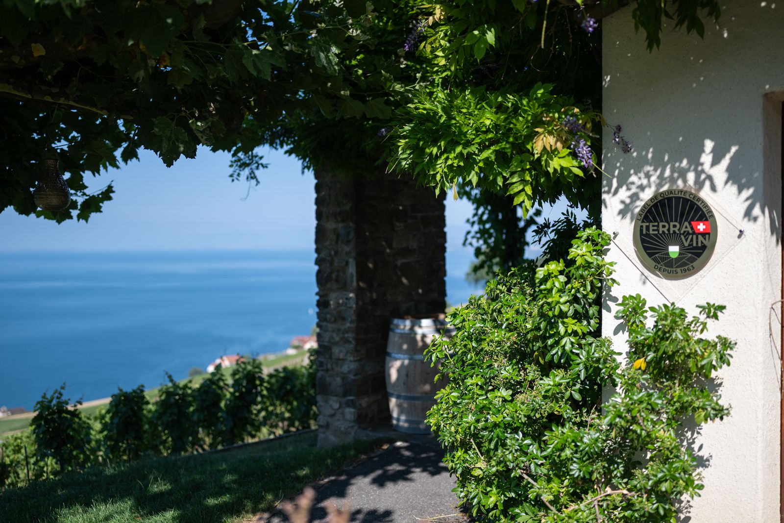 L’entrée du domaine sous la glycine, le lac en contrebas