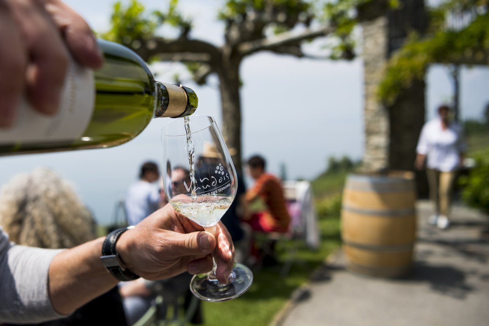 Service d’un vin blanc sur la terrasse du domaine