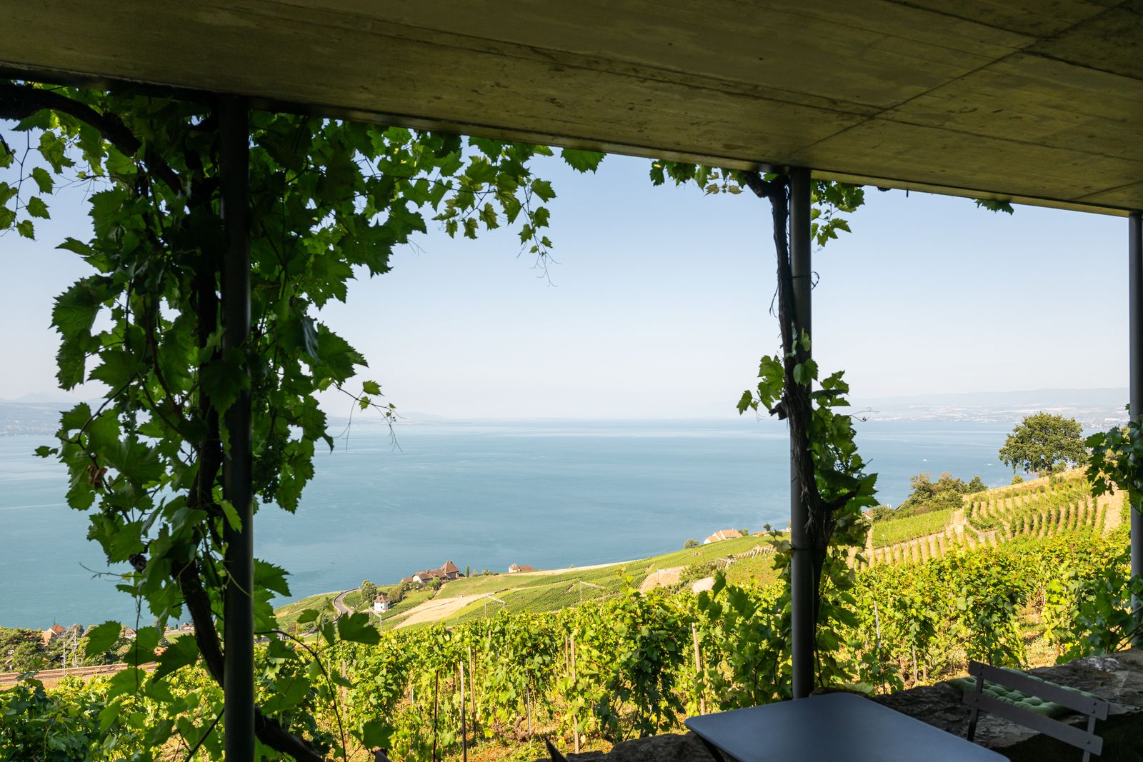 La terrasse ouverte sur le Léman et les vignes en terrasses