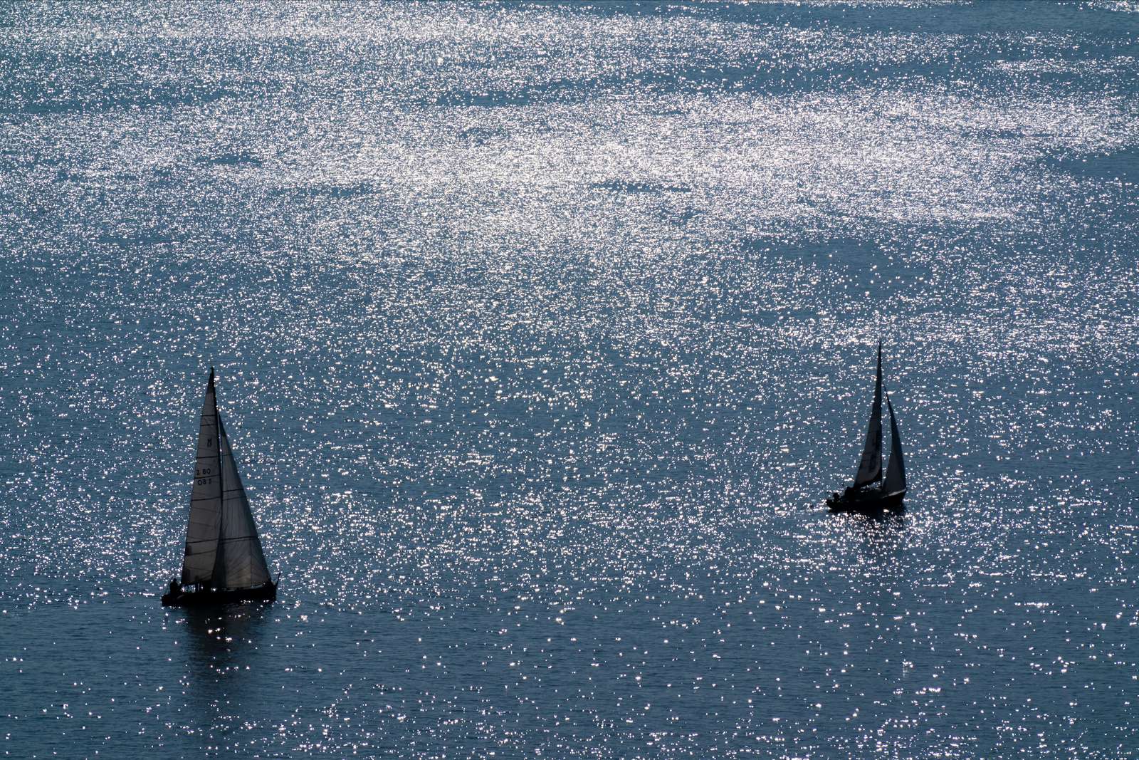 Deux voiliers sur le Léman scintillant, vus des vignes