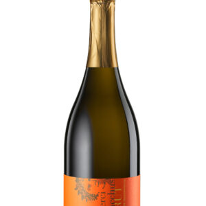 Merci Bacchus — Domaine Porta